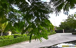 Harley gets a ride from a stranger