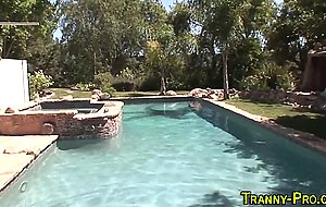 Sucked shemale tugs cock