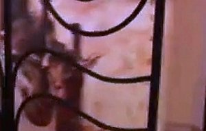 Beauty babe gives honey titfuck
