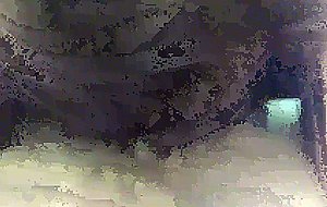 Amateur blowjob in hotel room by gf