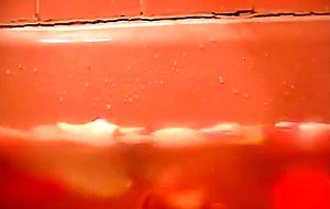 Sadena show legs rapturevisionbk 