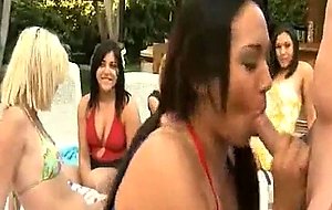 Regular girls sucking dick