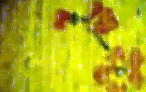 Mirror teen brunete teasing