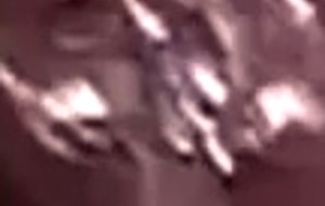 Amateur couple intense fuck 