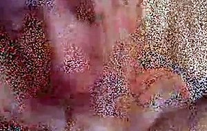 Amateur wife cumshot compilation