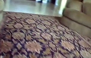 Horny girl sucking big cock