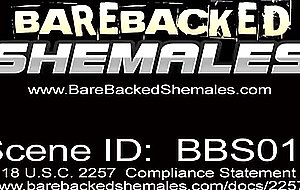 Blonde Shemale With Round Tits Gets Ass Fucked