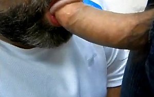 daddy bear sucking a nice cock