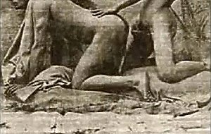 Gay Vintage video book 1890s- 1950s- ne