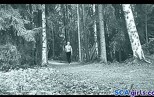 suomalainen vilkkuja