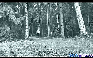 suomalainen vilkkuja