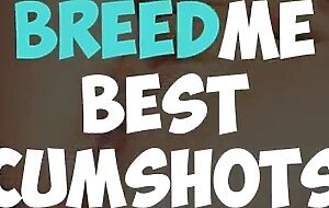 Top cumshots and creampies! breed me compilation