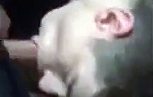 Passionate Blowjob by Paddy