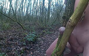 Forest Handjob