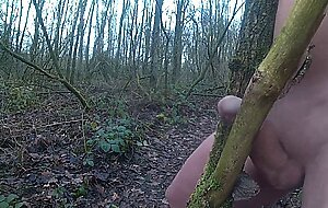 Forest Handjob