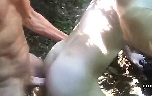 Public Beach Orgy
