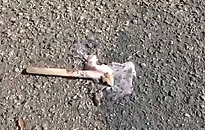 Give me an ice cream and i'll fuck you