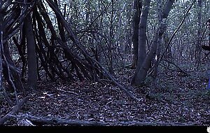 Girl gets lost in the woods -...