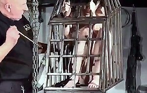 Caged and tits tortured