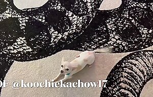 Casting Curvy: Playing Just The Tip With My Girlfriend's Hot Sister