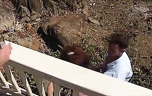 Private Classics, Anal Sex in Virgin Islands