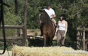 - Rider Yasmin Scott Rides a Hung Stallion