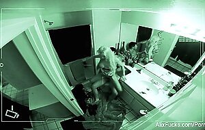 Alix gets a good fucking in a tight bathroom