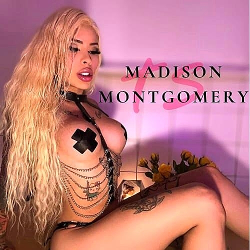 Pretty tattooed shemale teases in sexy lingerie in a hot compilation